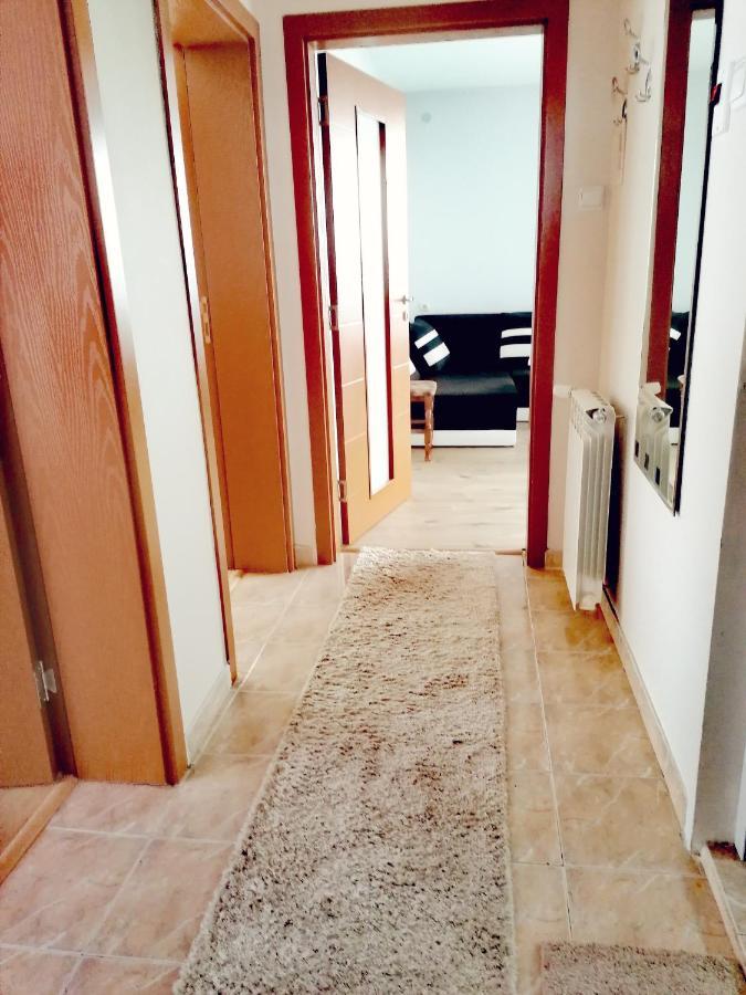 Apartment Daiv Сапарева-Баня Экстерьер фото
